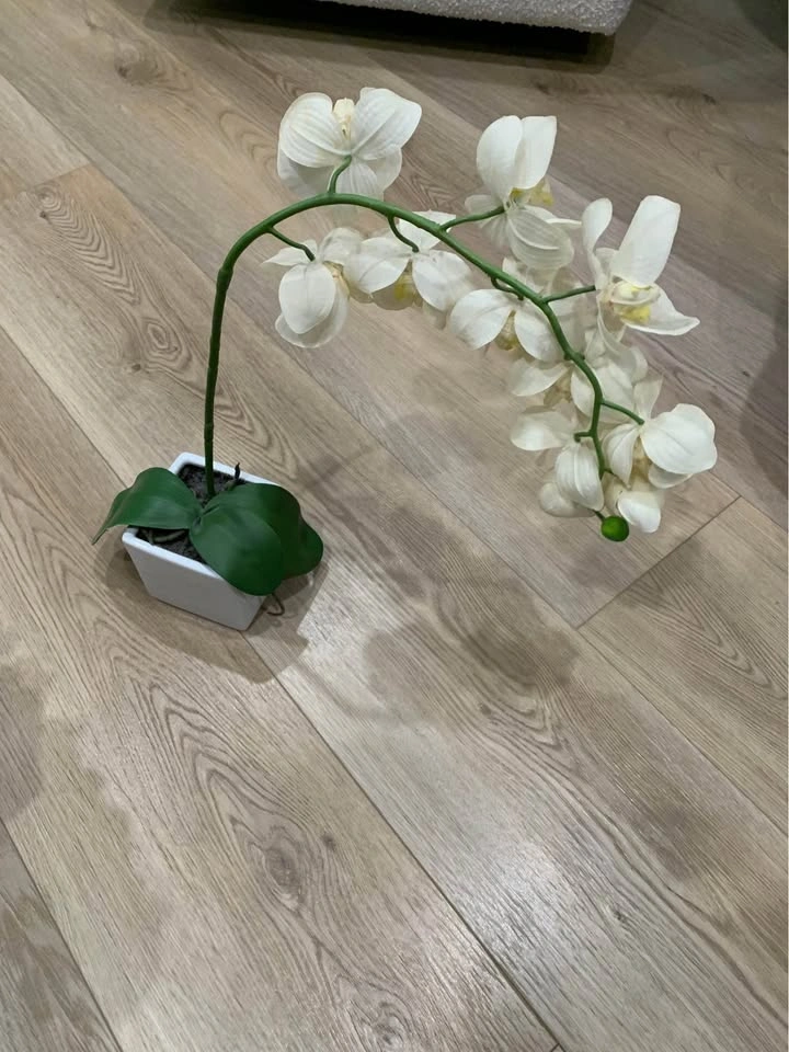 Potted orchids (fake) - photo 3