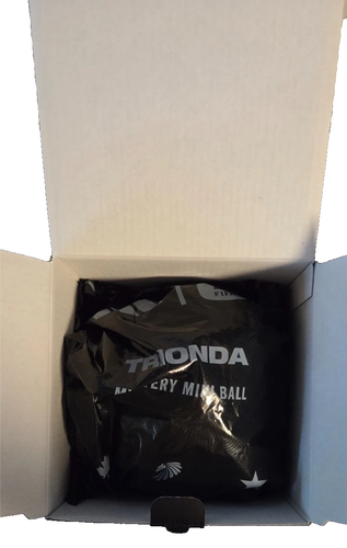 Adidas FIFA World Cup 2026 Trionda Mystery Mini Soccer Ball - photo 3
