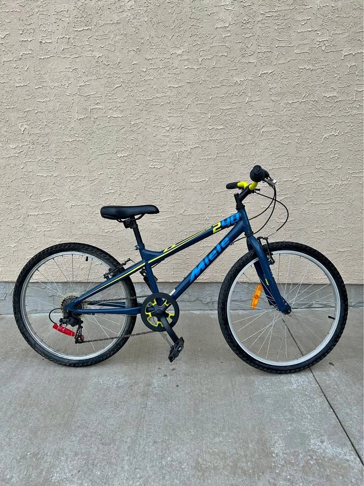 24 inch bicycle
