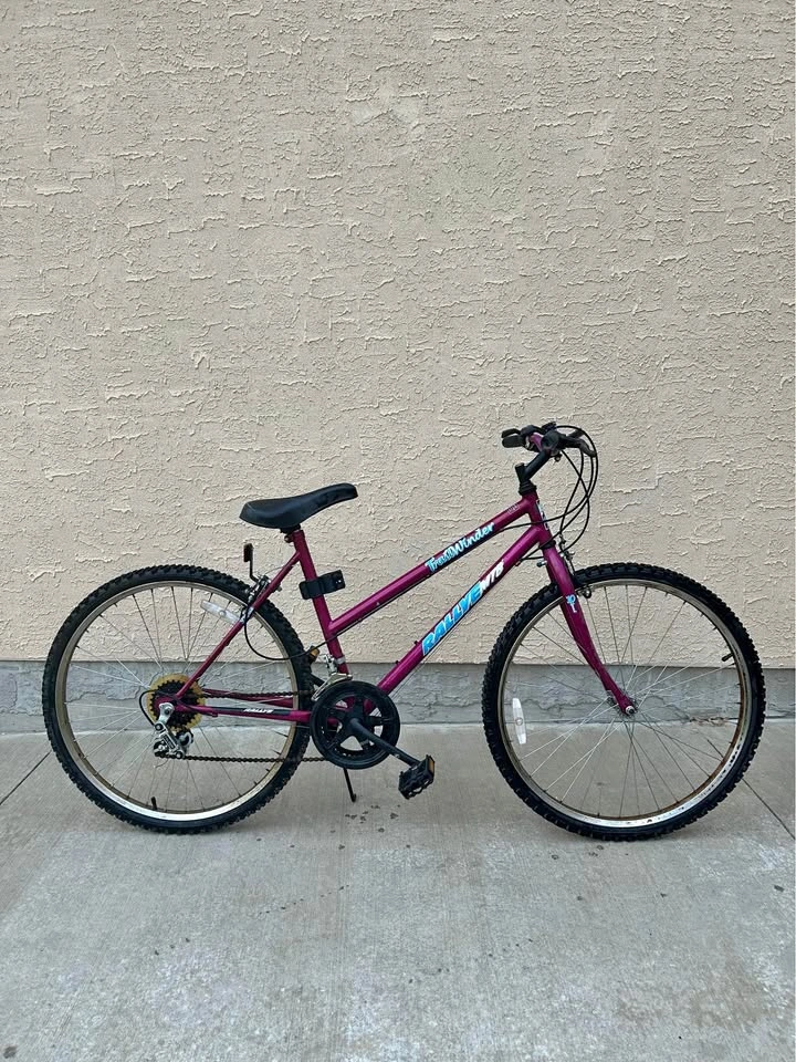 26 inch bicycle