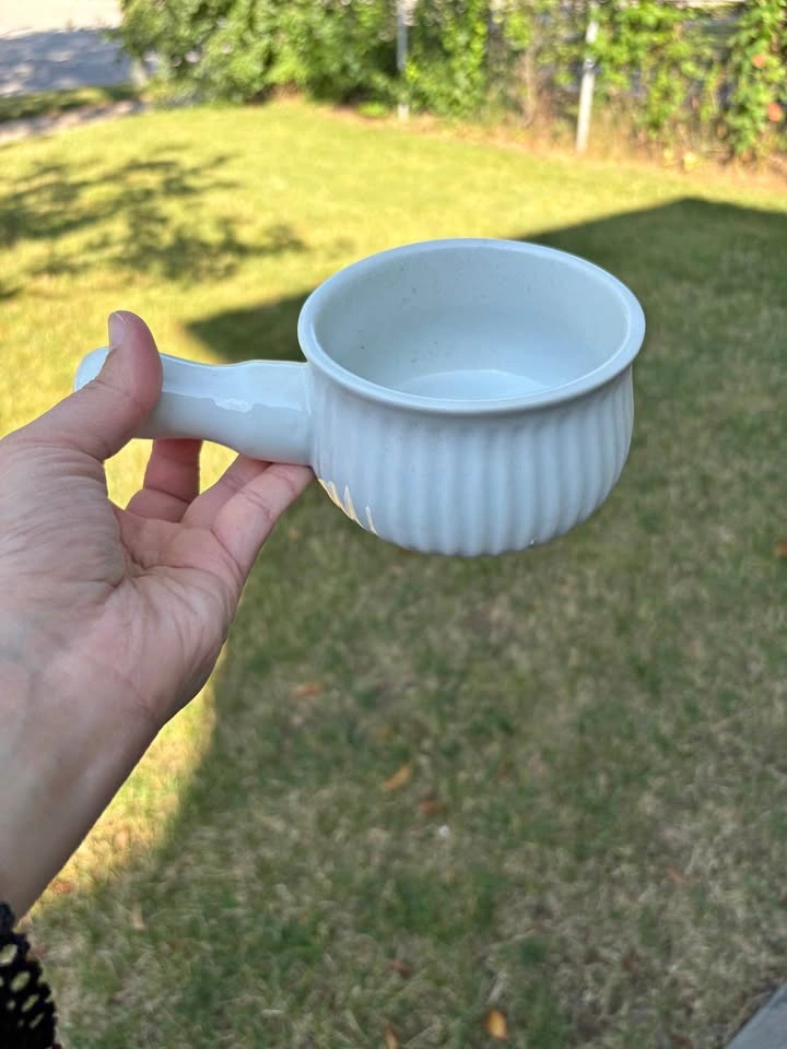 White Ceramic Handled soup bowls