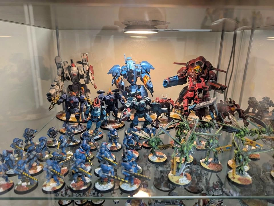 8000+ point Tau army