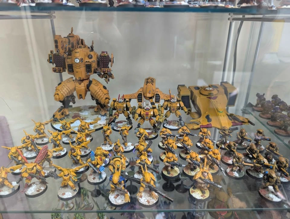 8000+ point Tau army - photo 3