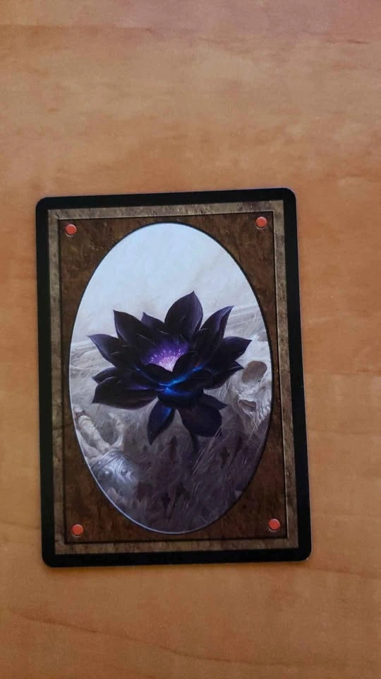 Magic the Gathering proxy cards - photo 2