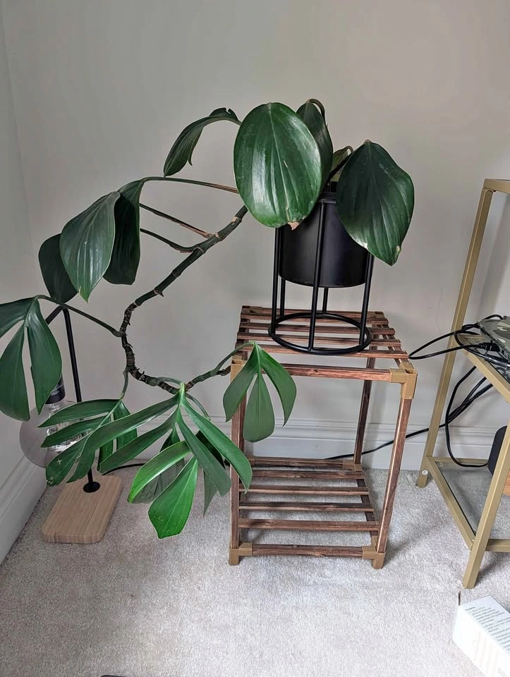 Bamboo Wooden 2-Tier Plant Stand