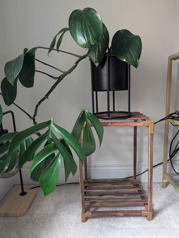 Bamboo Wooden 2-Tier Plant Stand - photo 3