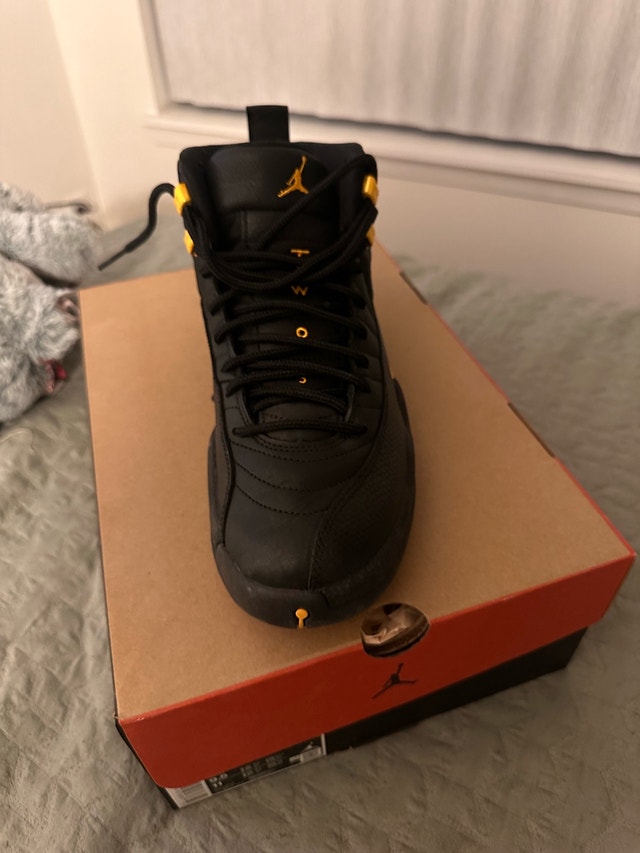Nike Air Jordan 12 Retro - photo 2