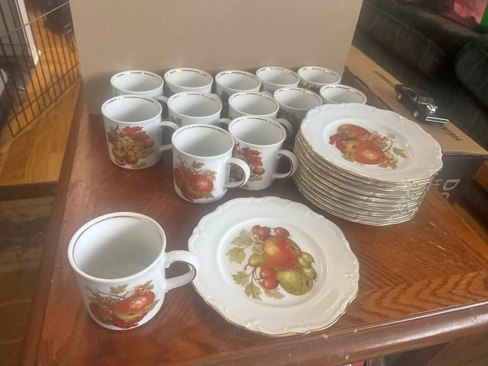 Winterling Vintage Roslau Bavaria Germany Fruit Plate/Mug Set