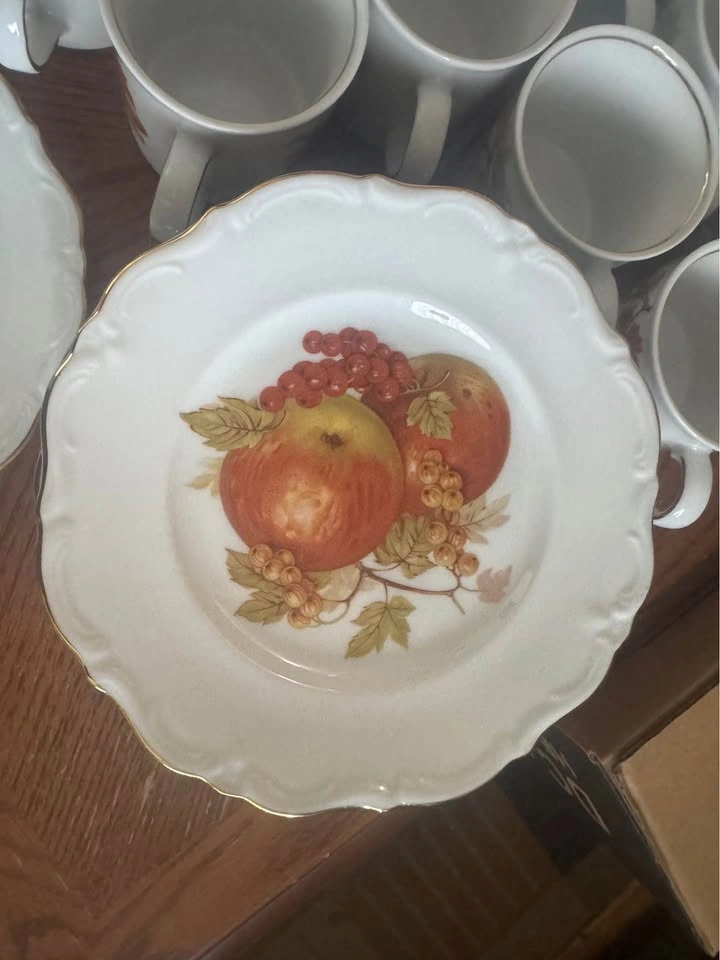 Winterling Vintage Roslau Bavaria Germany Fruit Plate/Mug Set - photo 2