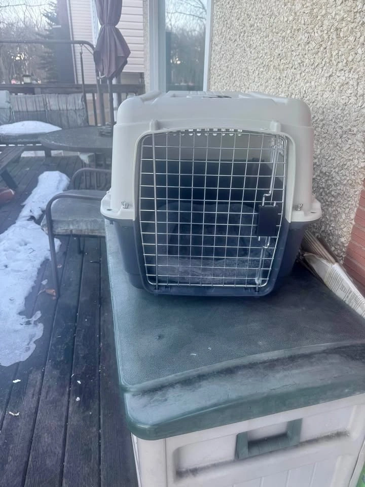 Dog Kennel