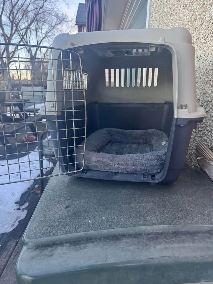 Dog Kennel - photo 2