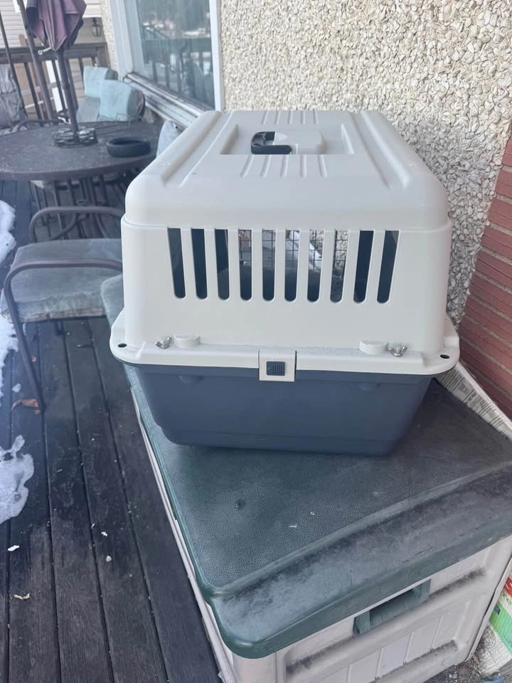 Dog Kennel - photo 4