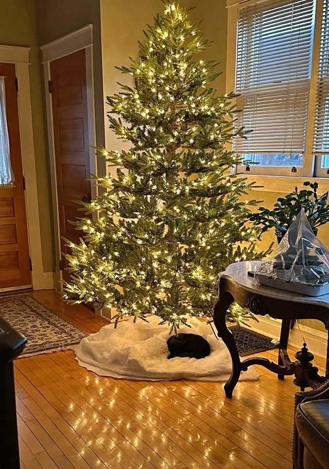 7.5 ft prelit artificial Christmas Tree