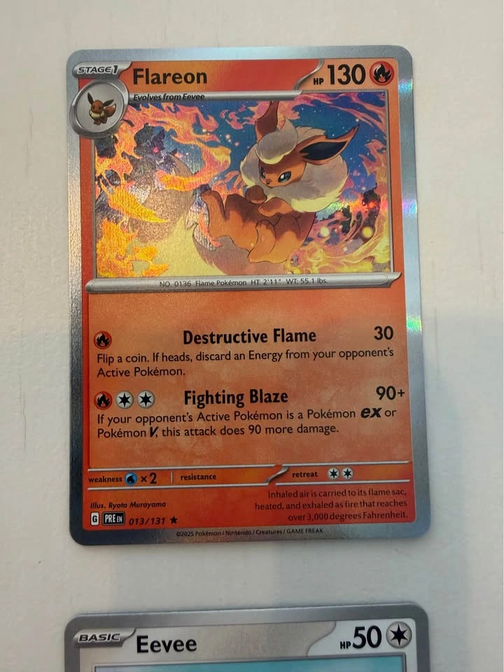 ✨ Eevee Lovers – Complete Eeveelutions! ✨ - photo 4