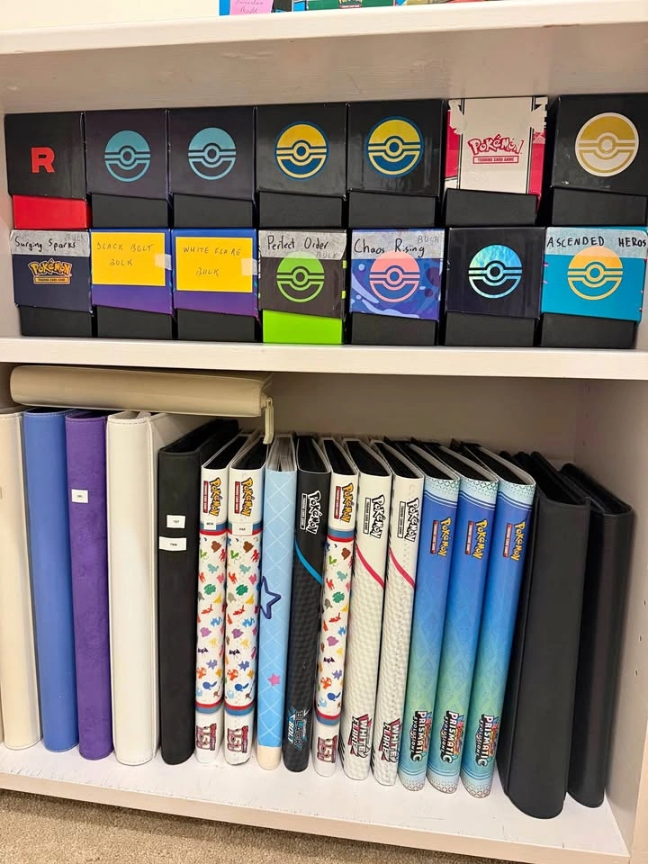 Pokémon Collection Help | Fair Evaluation & Organization
