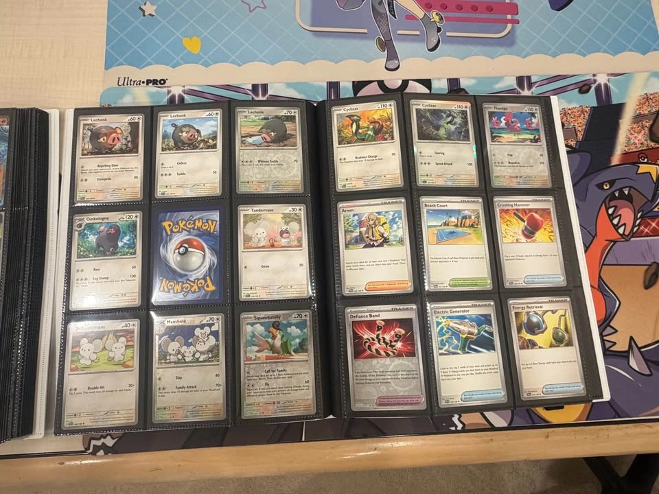Pokémon Collection Help | Fair Evaluation & Organization - photo 3