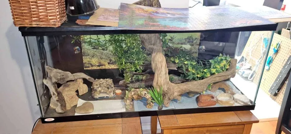 Reptile tank thumbnail