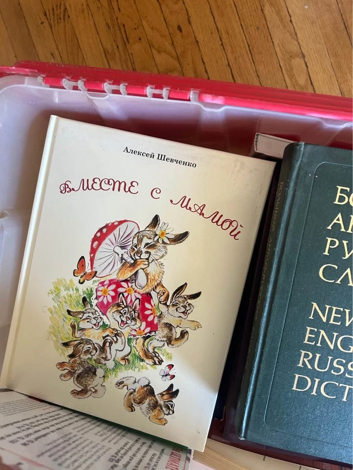 Box of Vintage Russian & English Books, Dictionaries - photo 3