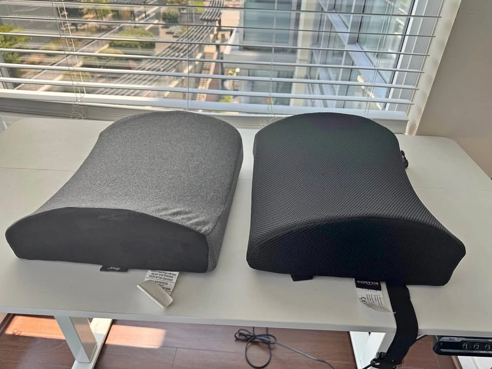Fortem and Stray Lumbar Support Pillows