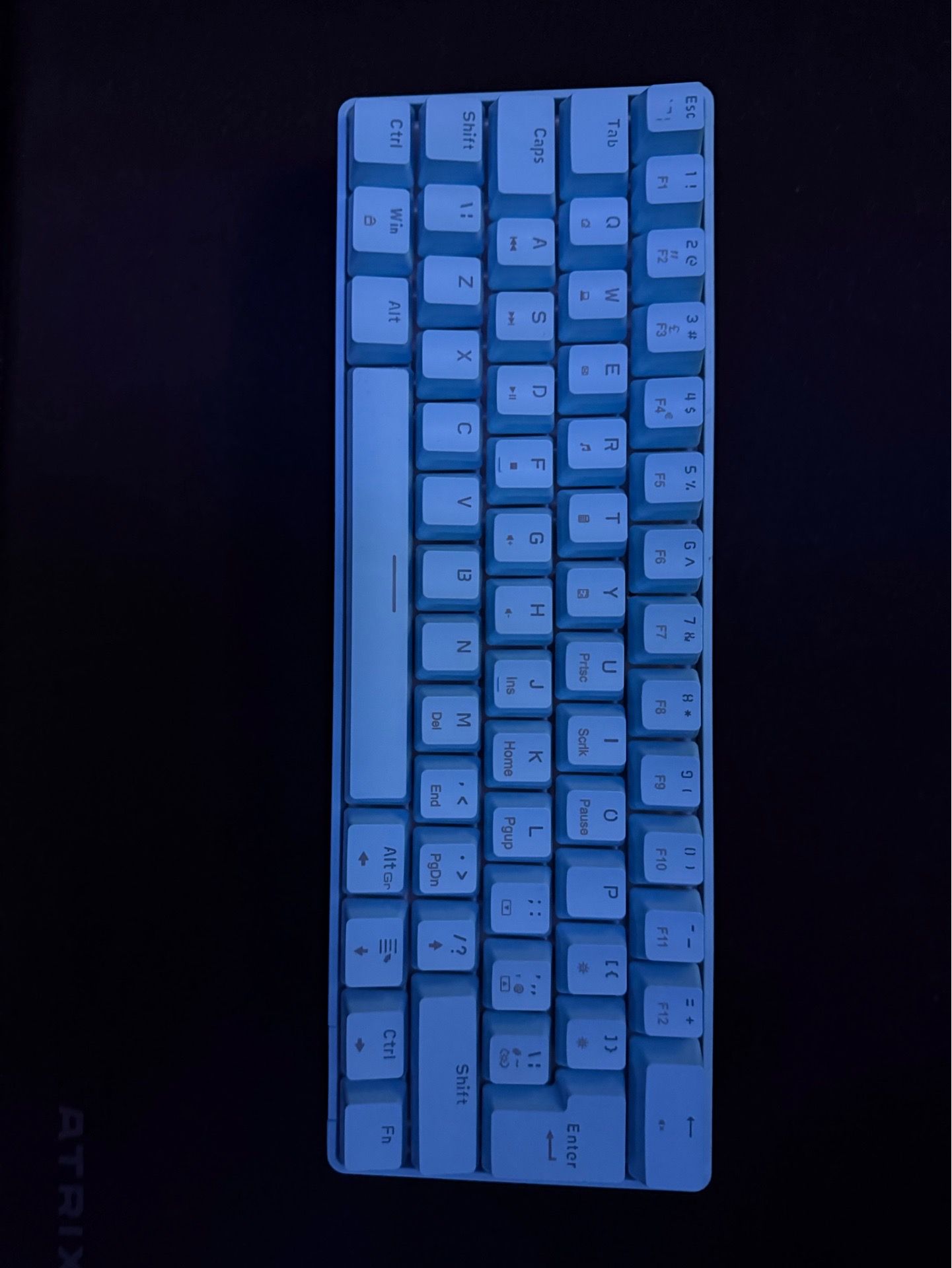 Ziyoulang T60