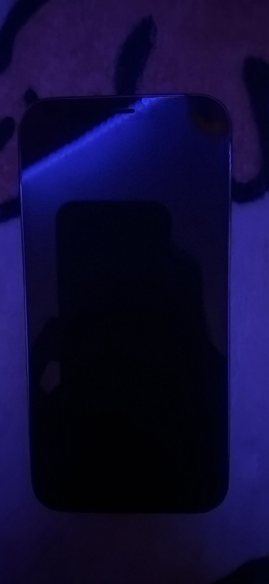 iPhone 12 Pro