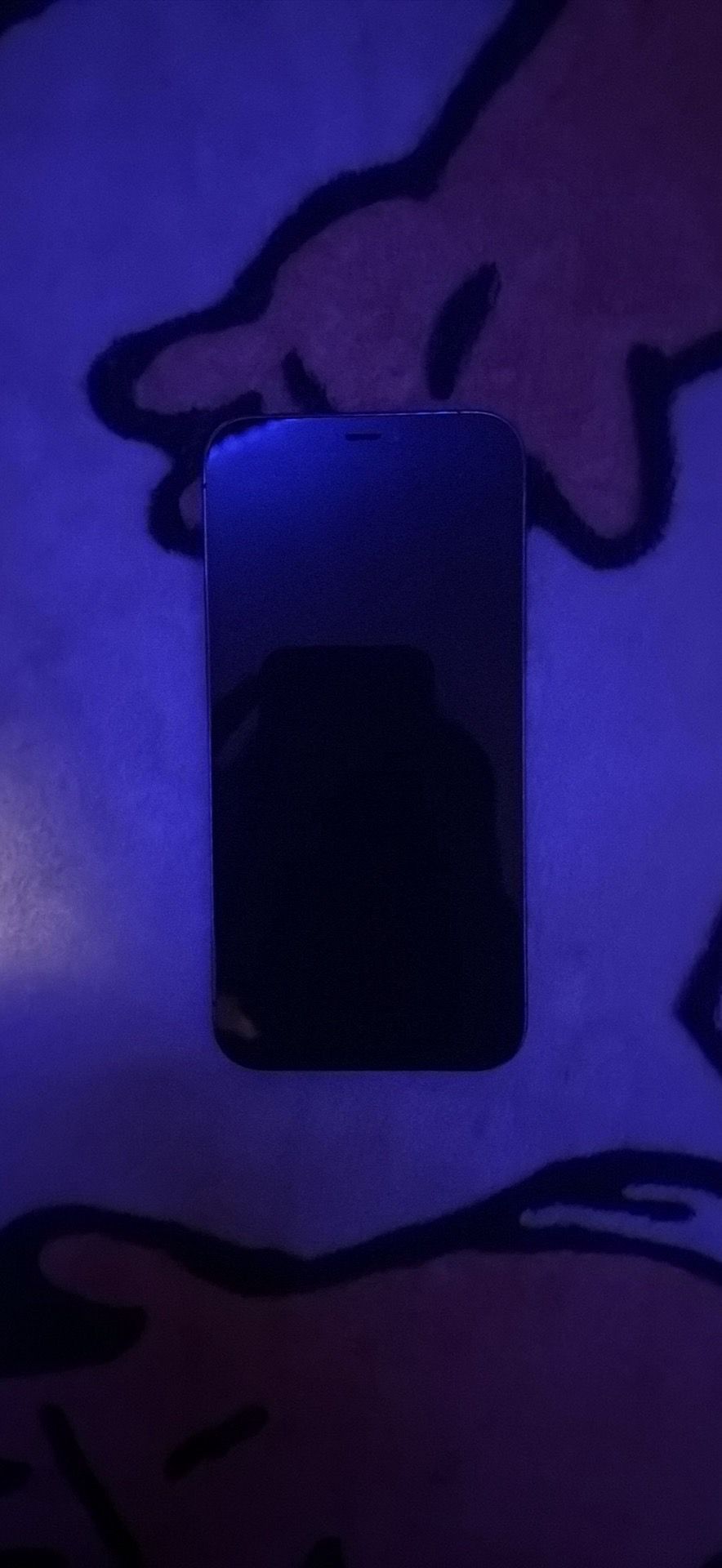 iPhone 12 Pro - photo 2
