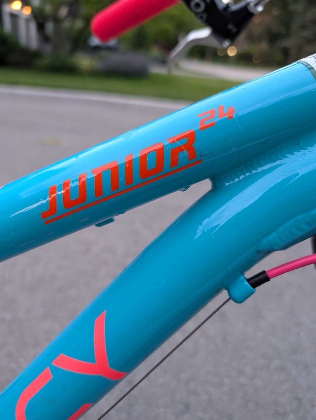 Girls Bike for 8-12 yo - photo 4