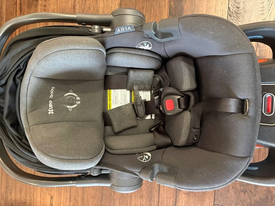 UPPABaby Aria Carseat (Jake / Charcoal) - photo 2