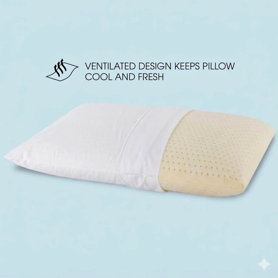 Brand New Talalay 100% Natural Latex Pillow with Cotton Cover
