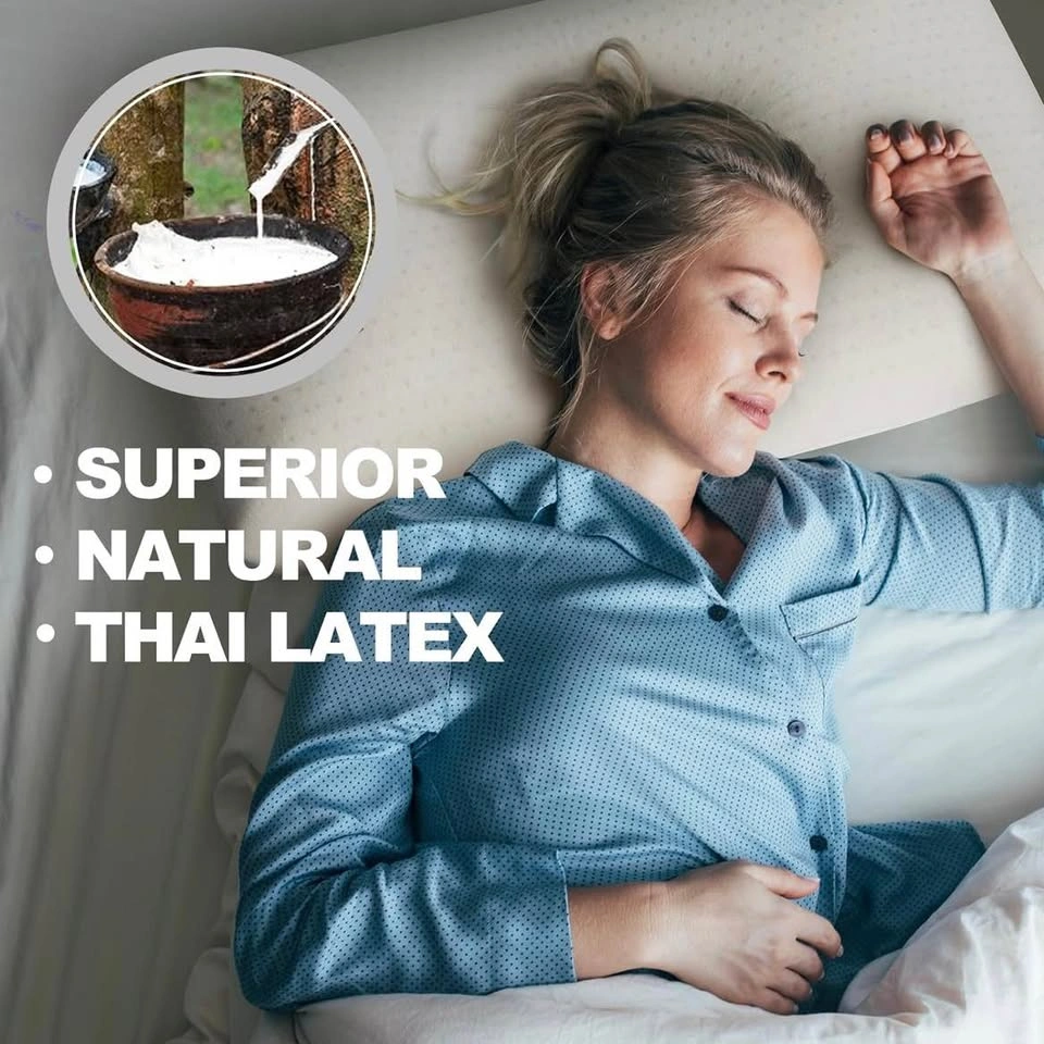 Brand New Talalay 100% Natural Latex Pillow with Cotton Cover - photo 3