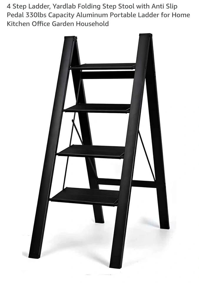 MOVEOUT SALE - Metal ladder