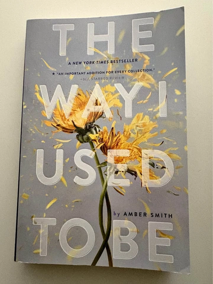 The Way I Used to Be by Amber Smith
