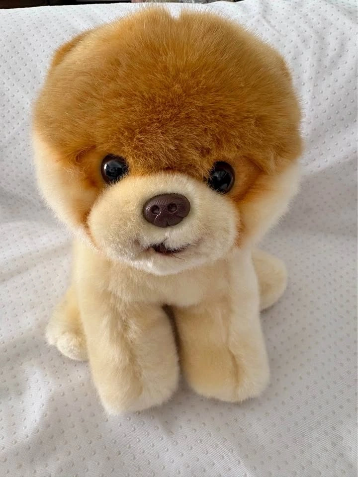 Gund 'Boo' World's Cutest Dog Plush Stuffed Animal