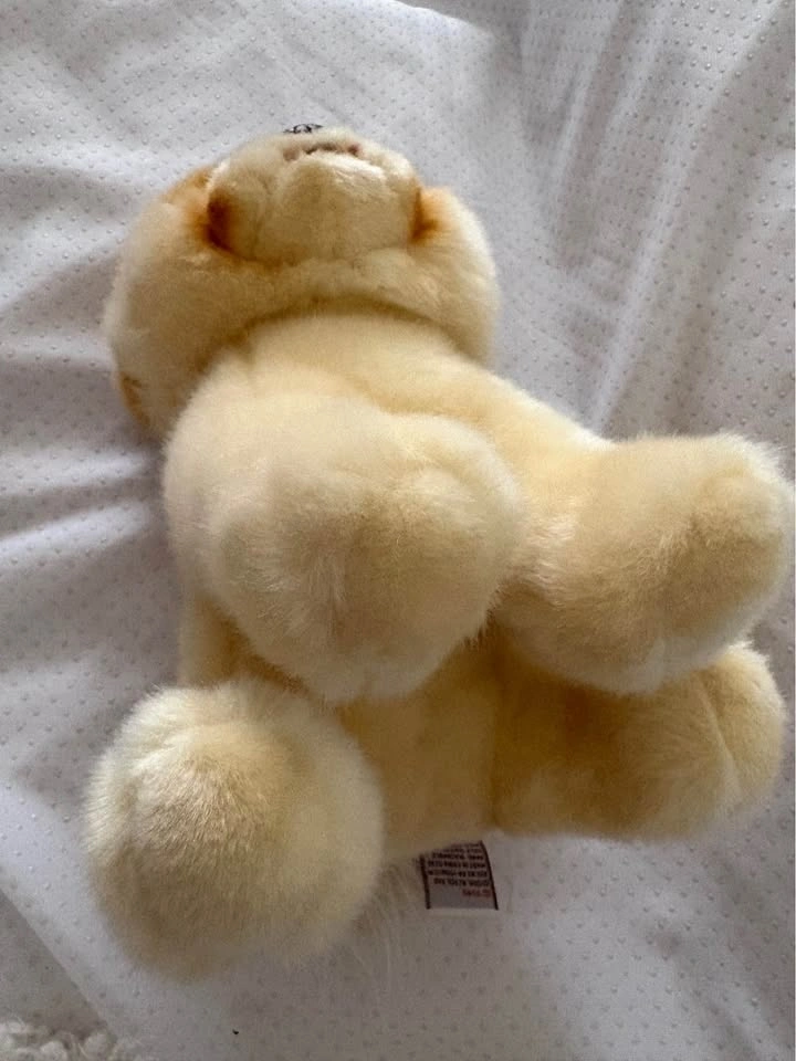 Gund 'Boo' World's Cutest Dog Plush Stuffed Animal - photo 4