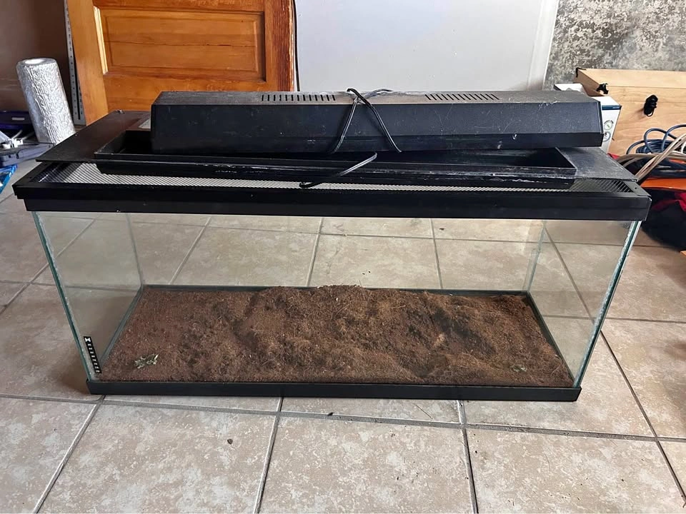 Terrarium / Fishtank