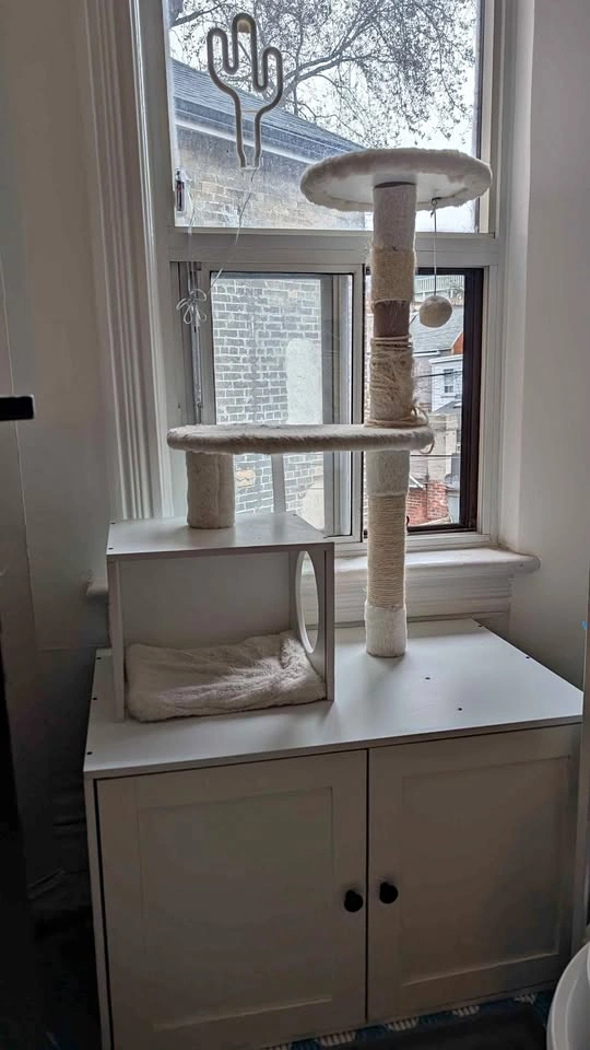 Cat Litter Tree