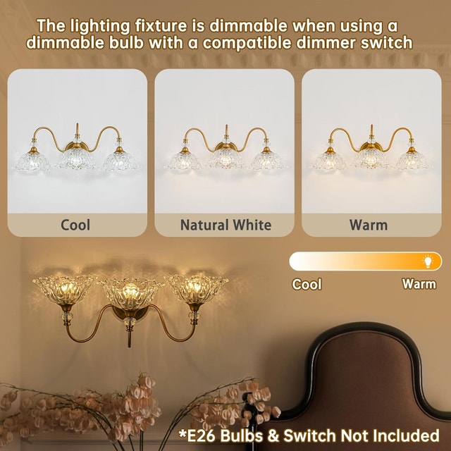 NEW Vintage Bathroom Vanity Light, Vintage Matte Antique Brass - photo 5