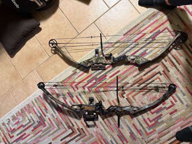 Compound Bow Package – Martin Lynx + PSE Mohave w/ Arrows - photo 2