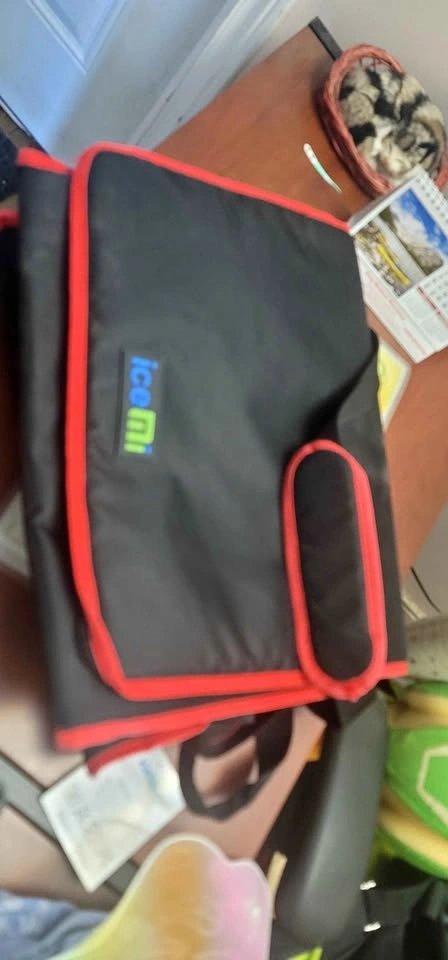 IceEmi insulated food delivery bag