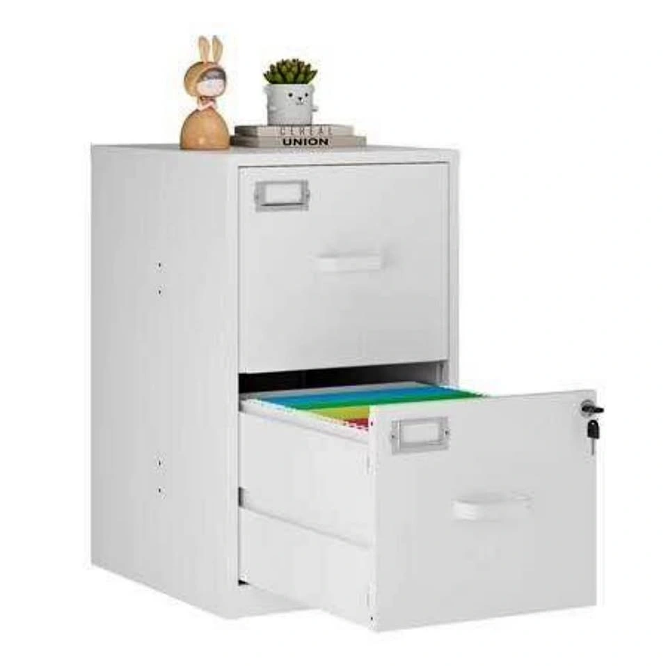 Locked 2-Drawer Metal File Cabinet, Vertical