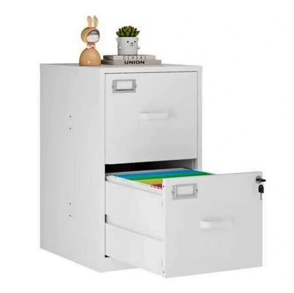 Locked 2-Drawer Metal File Cabinet, Vertical