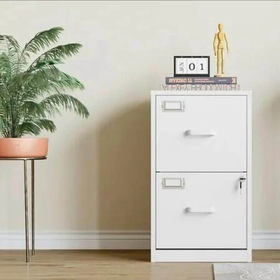 Locked 2-Drawer Metal File Cabinet, Vertical - photo 2