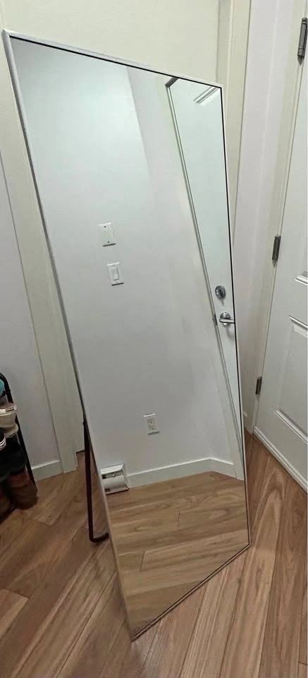 Andover Mills Full Length Mirror (161 cm x 52 cm) – Silver