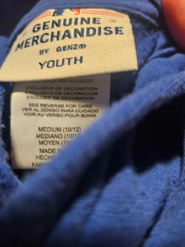 Blue Jays Hoodie YM - photo 2