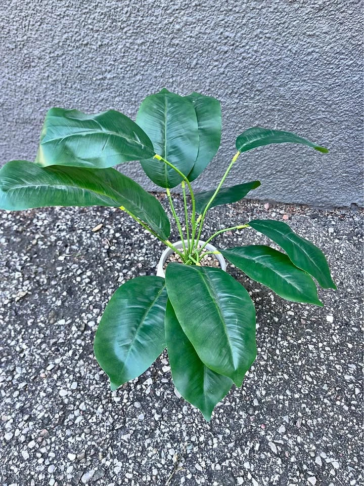 FAKE PLANT