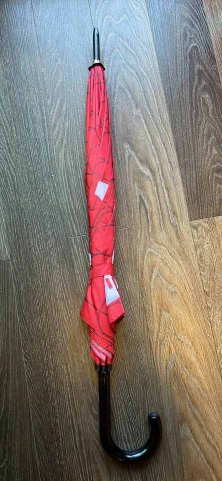 FIFA UMBRELLA ☂️ - photo 2
