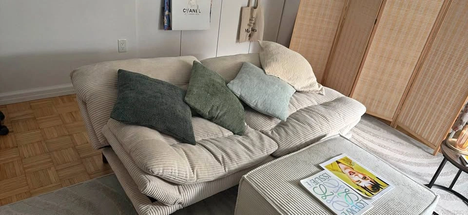 66” Convertible Sofa Bed