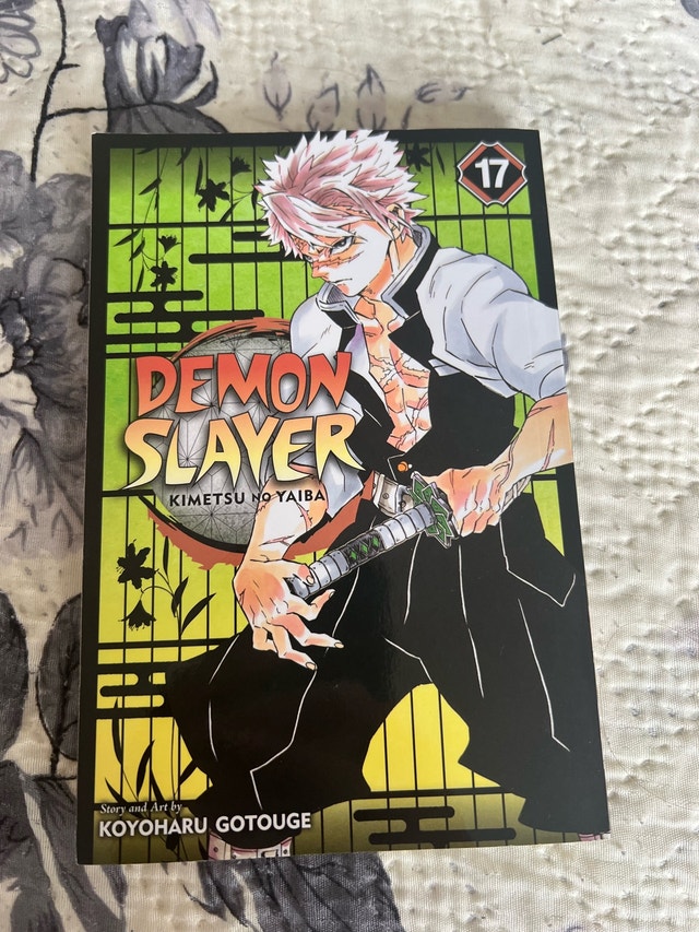 demon slayer manga (volume 17)