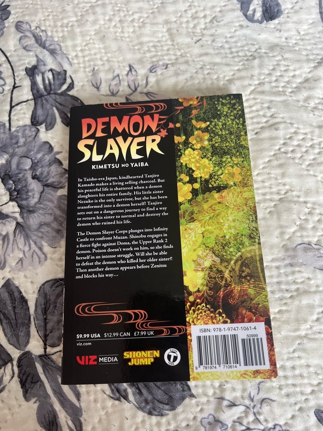 demon slayer manga (volume 17) - photo 2