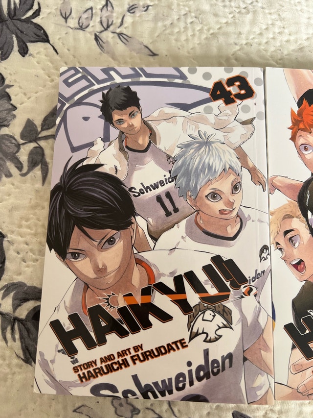 Haikyu manga